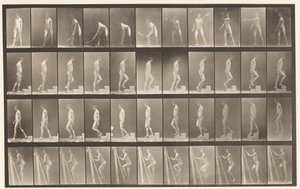 Tafel 486. A, Rasentennis; B, Eine Stufe hinaufsteigen, 1872-1885 von Eadweard Muybridge