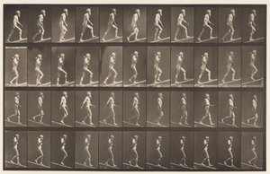 Tafel 489. A, Aufsteigende Steigung, 1872-1885 von Eadweard Muybridge