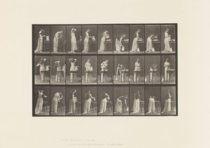 Tafel 496. Verschiedene Phasen der Toilette, 1885 von Eadweard Muybridge