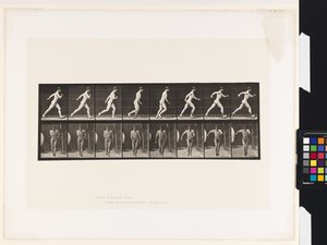 Tafel 4. Gehen von Eadweard Muybridge