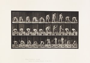 Tafel 506. Ziegelsteine legen von Eadweard Muybridge