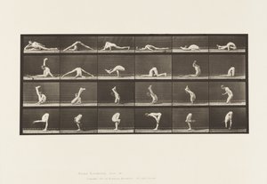 Tafel 510. Verrenkungen auf dem Boden, 1872-1885 von Eadweard Muybridge