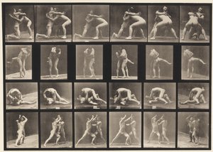 Tafel 520. A, 98 und 100 Ringen; B, 98 und 100 Ringen von Eadweard Muybridge