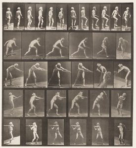 Tafel 521. A, Gehen; B, Stufe hinaufsteigen; C, Diskus werfen von Eadweard Muybridge