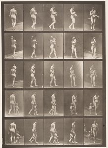 Tafel 528. A,B,C von Eadweard Muybridge