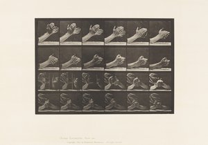 Tafel 533. Bewegung der Hand; Hände falten