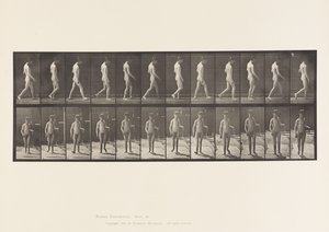 Epilepsie; Gehen von Eadweard Muybridge