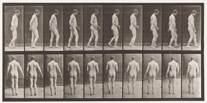 Nach Kopftrauma; Gehen von Eadweard Muybridge