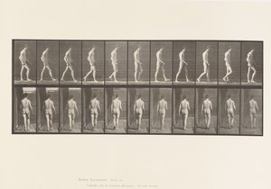 Lokomotorische Ataxie; Gehen von Eadweard Muybridge