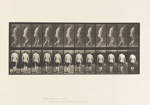 Tafel 558. Paraplegie; Teilweise; Gehen, 1885