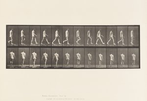 Tafel 560. Lokomotorische Ataxie; Gehen, 1885 von Eadweard Muybridge