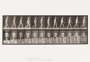 Platte 562. Seitliche Krümmung der Wirbelsäule; Gehen von Eadweard Muybridge