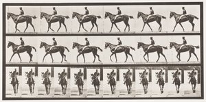 Tafel 580. Gehen; Sattel; Vollblut-Braune Stute Annie G., 1885 von Eadweard Muybridge