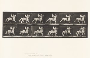 Schlendern von Eadweard Muybridge