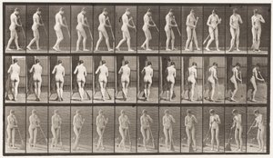 Tafel 58. Gehen, sich umdrehen, den Boden fegen von Eadweard Muybridge
