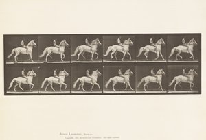 Tafel 590. Schlendern von Eadweard Muybridge