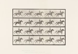 Schaukeln von Eadweard Muybridge