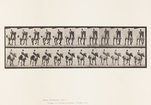 Tafel 600. Trabend; Ohne Sattel; Dunkelgrauer Dusel von Eadweard Muybridge