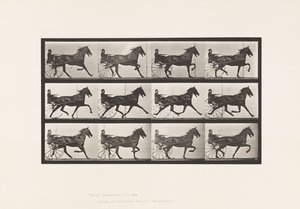 Tafel 606. Trabend; Sulky; Braunes Pferd Reuben von Eadweard Muybridge