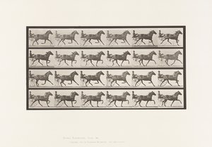 Tafel 609. Trabend; Sulky; Braune Stute Lizzie M. von Eadweard Muybridge