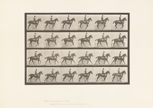Tafel 616. Kanter; Sattel; Braunes Pferd Daisy von Eadweard Muybridge