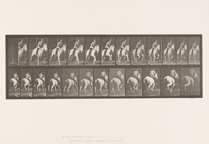 Tafel 635. Galopp; Sattel; Graue Stute Pandora von Eadweard Muybridge
