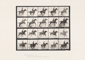 Tafel 640. Ein Hindernis überspringen; Sattel; Braunes Pferd Daisy von Eadweard Muybridge