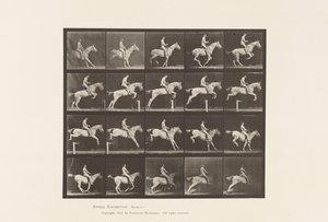 Tafel 642. Hürdensprung; Sattel; Reiter, 105, Nackt; graue Stute, 1885 von Eadweard Muybridge