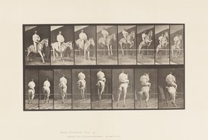Tafel 645. Springen über ein Hindernis; Sattel; Überwinden und Landen
