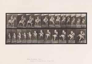Tafel 646. Ein Hindernis überspringen; Sattel; Reiter, 105, Akt;, 1885 von Eadweard Muybridge