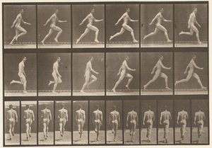 Tafel 64. Laufen in voller Geschwindigkeit von Eadweard Muybridge