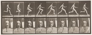 Tafel 65. Laufen mit voller Geschwindigkeit, 1872-1885 von Eadweard Muybridge
