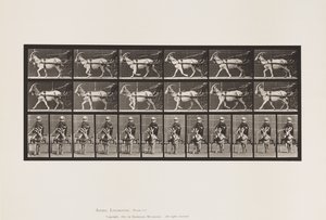 Tafel 678. Ziege; Trabend, im Sulky von Eadweard Muybridge