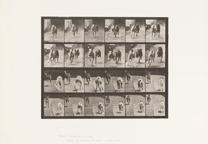 Tafel 711. Hunde; Zwei Rennen; A, B; Rennhunde, Ike & Maggie von Eadweard Muybridge