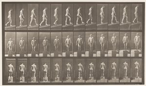 Tafel 74. Steigung hinaufsteigen, Winkel 1 zu 4 von Eadweard Muybridge