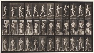 Aufsteigende Neigung, Fächer schwenkend von Eadweard Muybridge