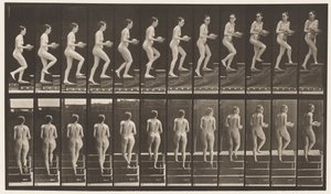Tafel 94. Treppensteigen, Umschauen; Becken in den Händen von Eadweard Muybridge