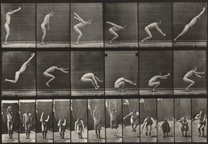 Tafel Nummer 163. Springen, Standweitsprung von Eadweard Muybridge