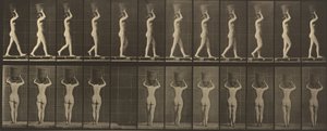 Tafel Nummer 34. Gehen und Tragen eines 15-Pfund-Korbs auf dem Kopf, Hände erhoben von Eadweard Muybridge