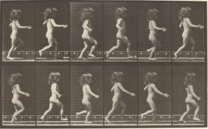 Tafel Nummer 469. Kind läuft von Eadweard Muybridge