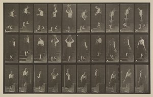 Tafel Nummer 504. Auf- und absteigende Treppen von Eadweard Muybridge