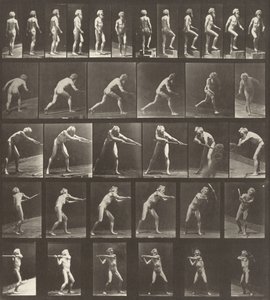 Tafel Nummer 521. A: Gehen. B: Eine Stufe hinaufsteigen. C: Den Diskus werfen. D: Eine Schaufel benutzen. E, F: Einen Pickel benutzen von Eadweard Muybridge