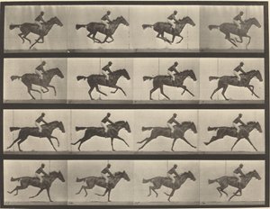 Platte Nummer 626. Galopp, Vollblut-Braune Stute, Annie G.