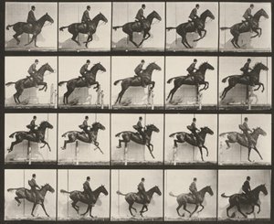 Tafel Nummer 640. „Daisy“ springt gesattelt über ein Hindernis von Eadweard Muybridge