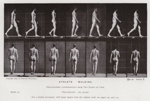 Die menschliche Figur in Bewegung: Athlet, gehend von Eadweard Muybridge