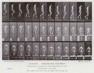 Die menschliche Figur in Bewegung: Athlet, der eine Treppe hinuntergeht von Eadweard Muybridge