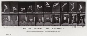 Die menschliche Figur in Bewegung: Athlet, der einen Rückwärtssalto macht von Eadweard Muybridge