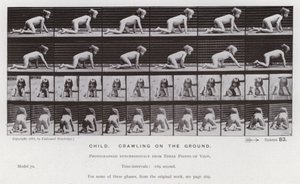 Die menschliche Figur in Bewegung: Kind, das auf dem Boden krabbelt von Eadweard Muybridge