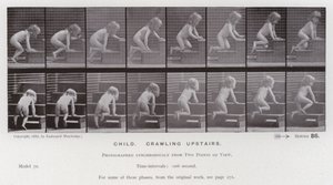 Die menschliche Figur in Bewegung: Kind, das eine Treppe hinaufkrabbelt von Eadweard Muybridge