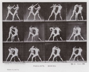 Die menschliche Figur in Bewegung: Boxer